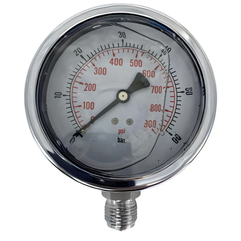 Mr 2505 Inox 025 Manômetro Reto 100mm Inox 1/2' 60 Bar