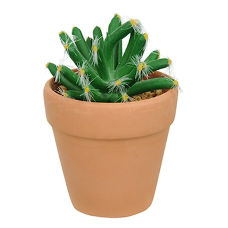 Vaso Com Cacto Castelo de Fada Verde 14x6 Cm - D'Rossi - DRossi