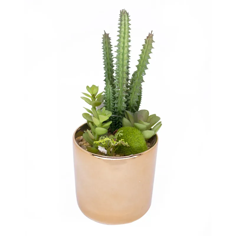 Vaso Decorativo Dourado Com Cactos e Suculenta Artificial - D'Rossi - DRossi