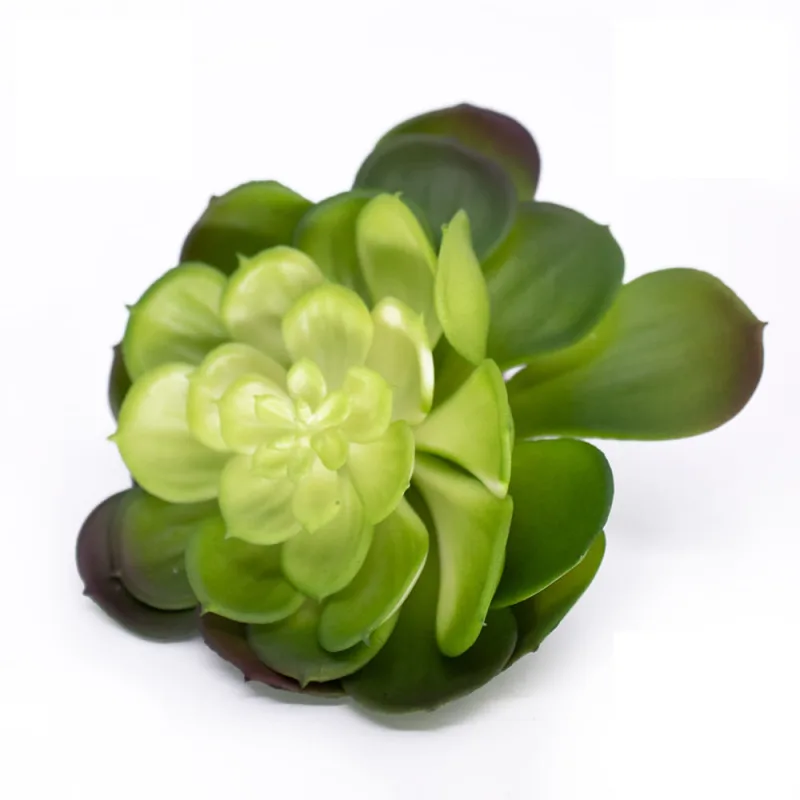 Suculenta Planta Artificial 14x16 Verde - D'Rossi - DRossi - Mercado