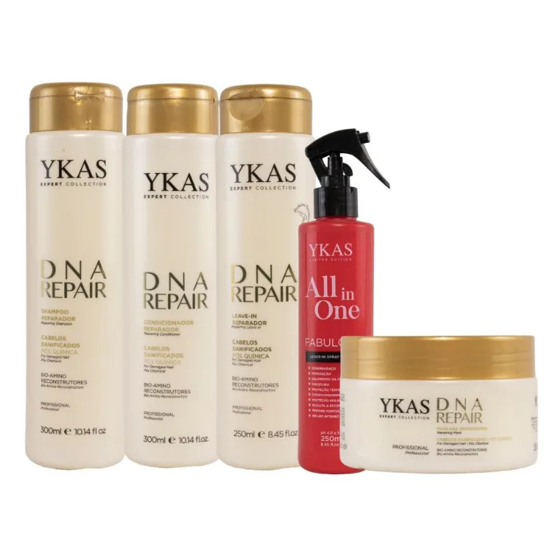 Kit Ykas Dna Repair Completo Pequeno + Hair All in One