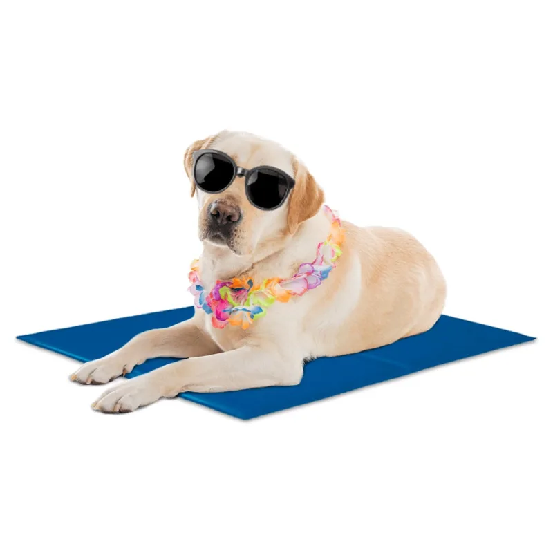 Tapete Gelado Refrescante P/ Cães E Gatos Pet 65x50cm - 123util - Pet Shop