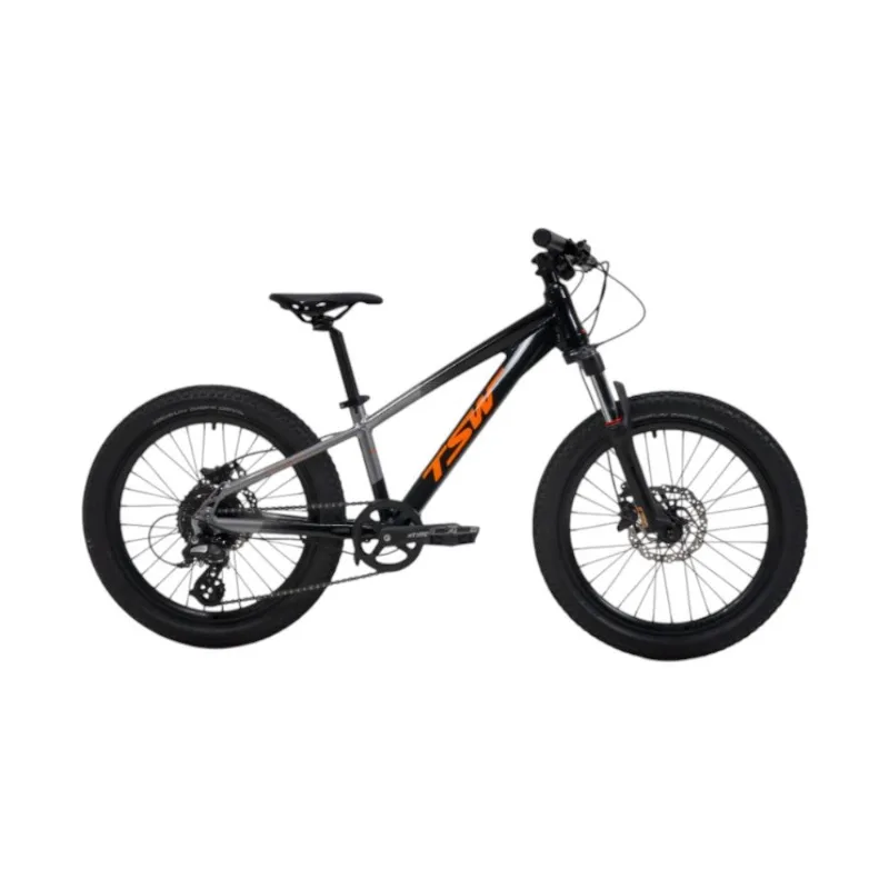 Bicicleta JPP TSW Hunch Altus Aro 20 8 Velocidades Preto E Cinza (MP)