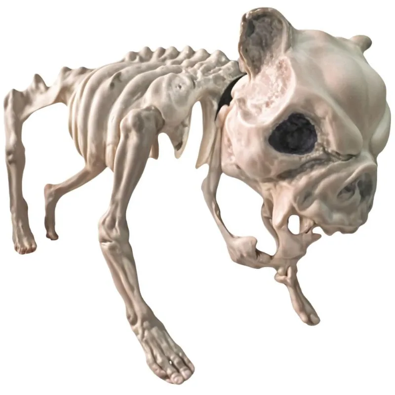 Estátua de Halloween Esqueleto de Cachorro Com Coleira Decoração Gótica Realista Ossos de Animais