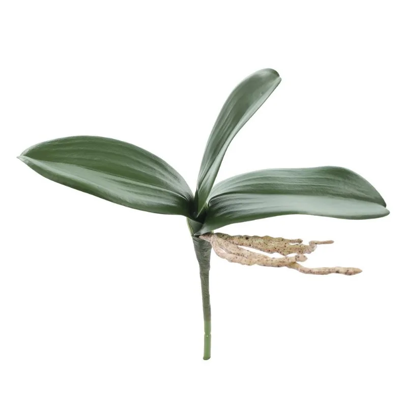 Pick De Folhas Orquídea Artificial Cromus 28cm Verde 2203 (MP)