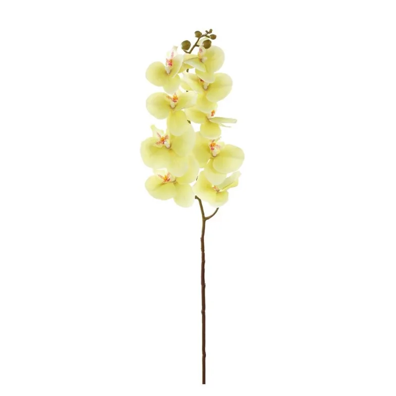 Haste De Orquídea Artificial Cromus 95cm Verde 1062240 (MP)