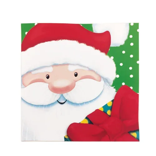 Guardanapo Magia De Natal Cromus C/20 - CROMUS