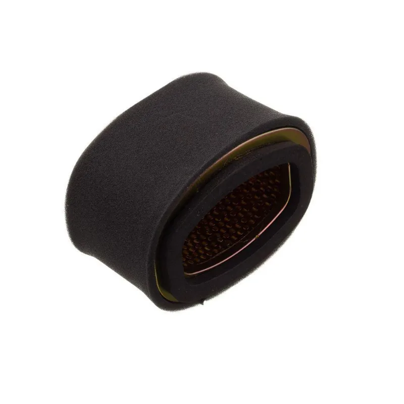 Elemento Filtro De Ar Eksim Burgman 125 I 2011/