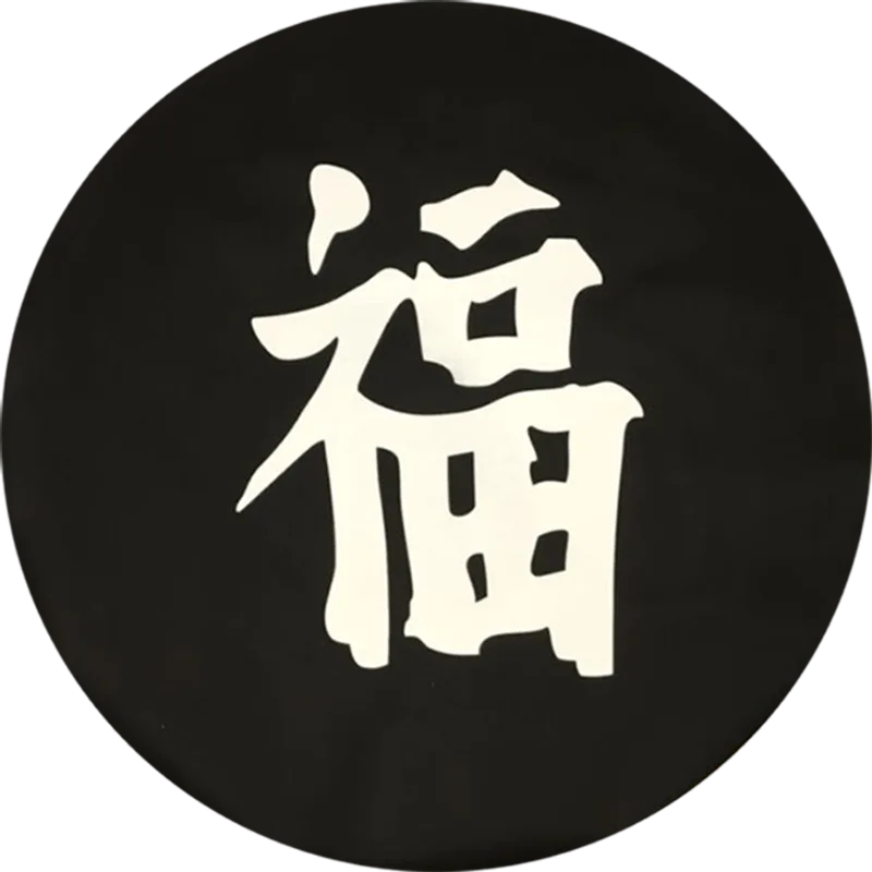 Capa De Estepe Japones Aro 17 À 19 Com Cadeado Aço