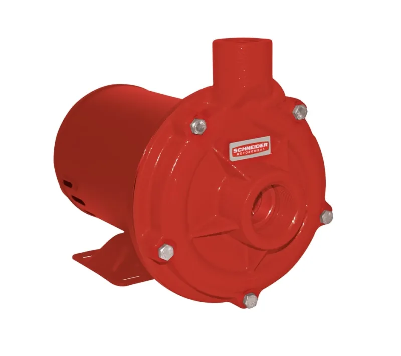 Motobomba de 2,0 cv 2.1/2" x 2.1/2" 220 V~/380 V~ BPI-92S R 87230193-00 SCHNEIDER - SCHNEIDER - Máquinas E Compressores
