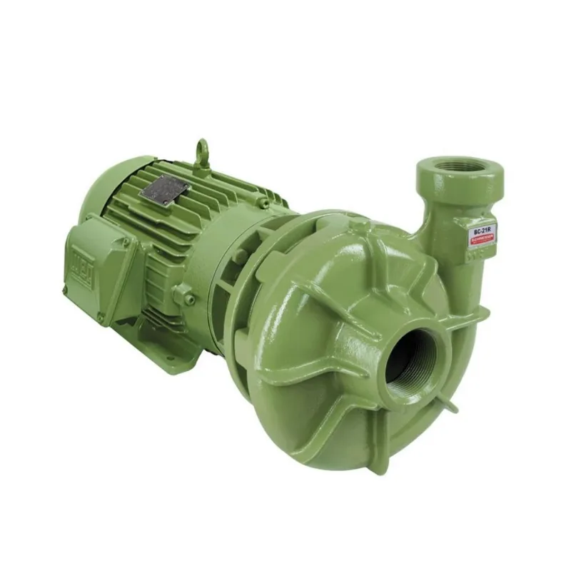 Motobomba Centrífuga 1,5Cv BC-21 R1 1/4" Schneider Trifásica 220/380/440/760V