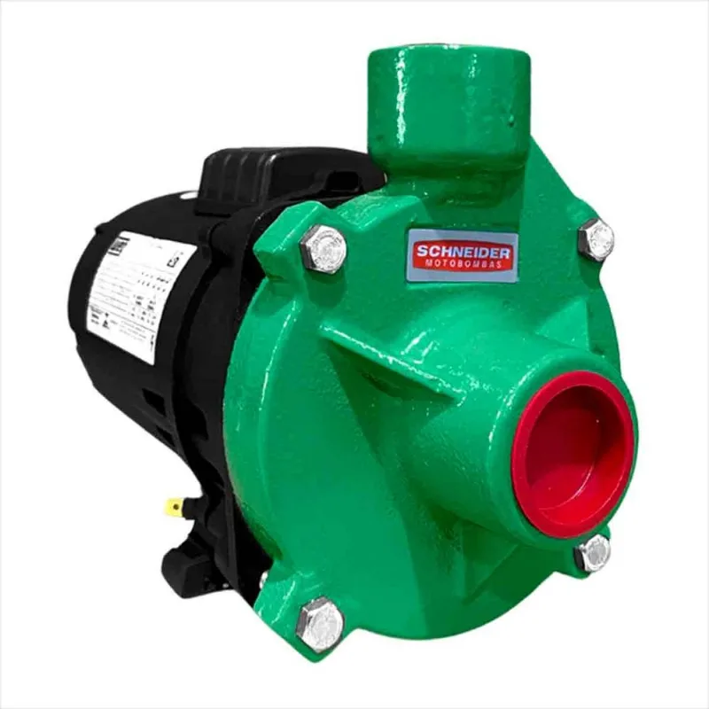 Motobomba Centrífuga 1.0CV BC 91 S Trifásico Schneider Peça