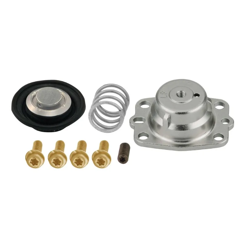Kit 10 Diafragmas Regulador De Pressão
