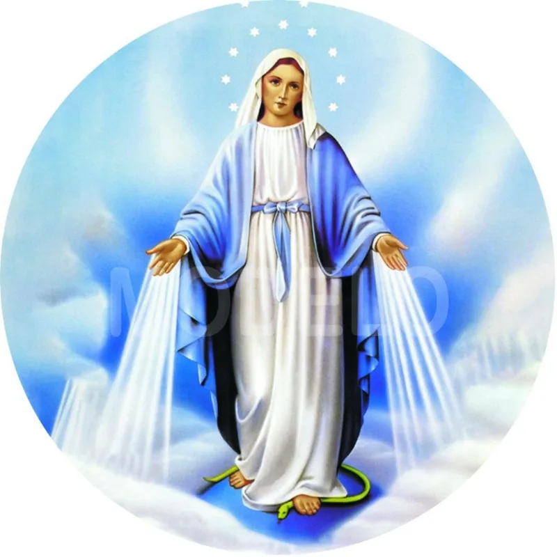 Capa Estepe Ecosport Crossfox Religioso Nossa Senhora das Graças CN1072