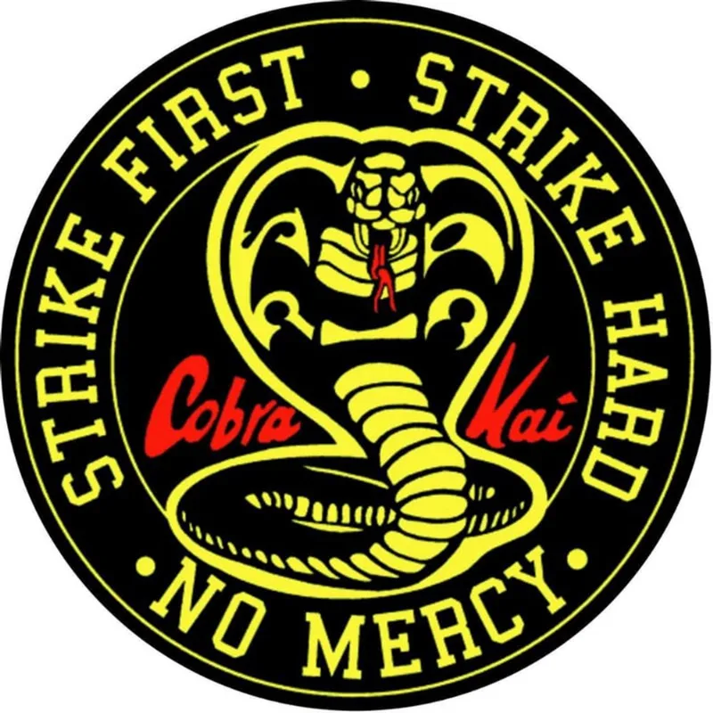 Capa Para Estepe Ecosport Crossfox Aircross Cobra Kai Cn1111