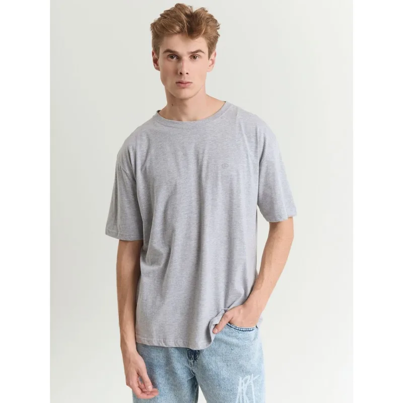 Camiseta malha masculina básica cinza Cinza G