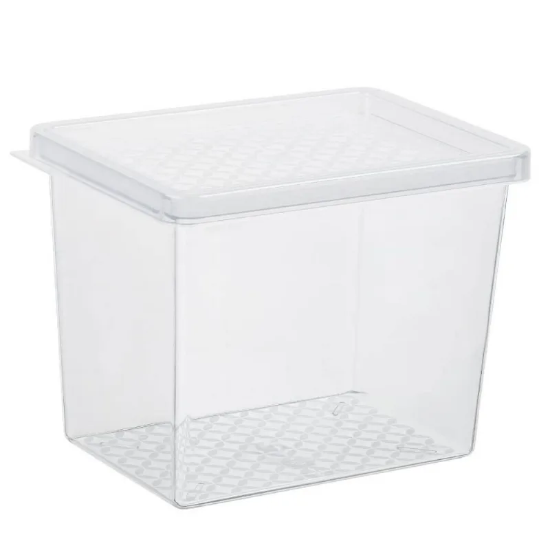 Organizador Multiuso Com Tampa Uz 2,9 Litros - Transparente