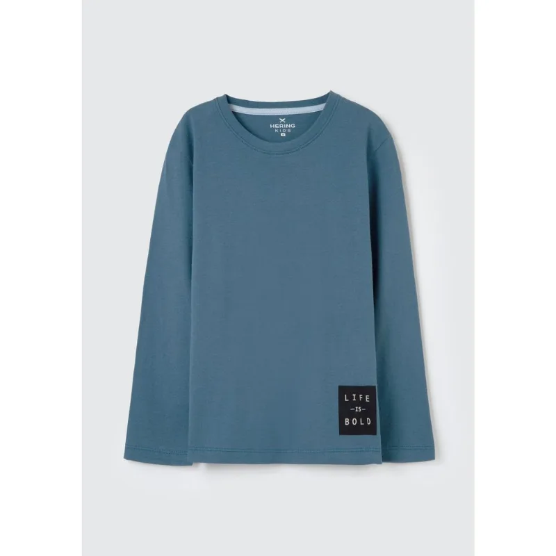 Camiseta Infantil Menino Manga Longa Com Estampa Hering Kids - Azul 014