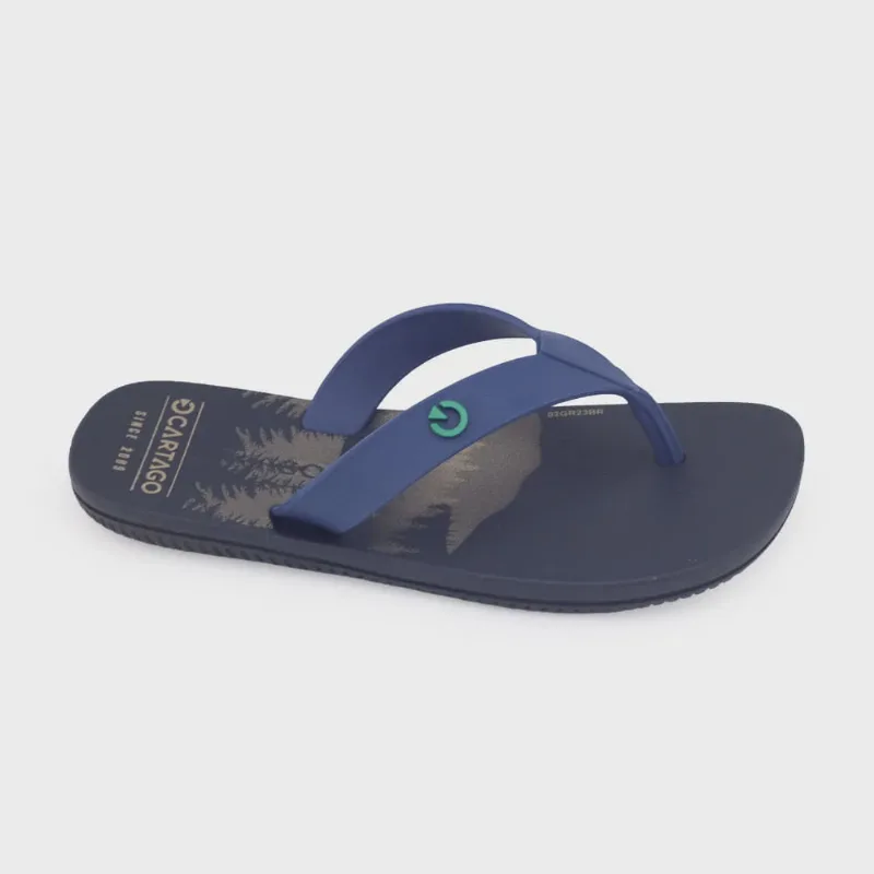 Chinelo infantil mno Cartago Mini 11841 Atlanta Dedo Grendene - IPANEMA