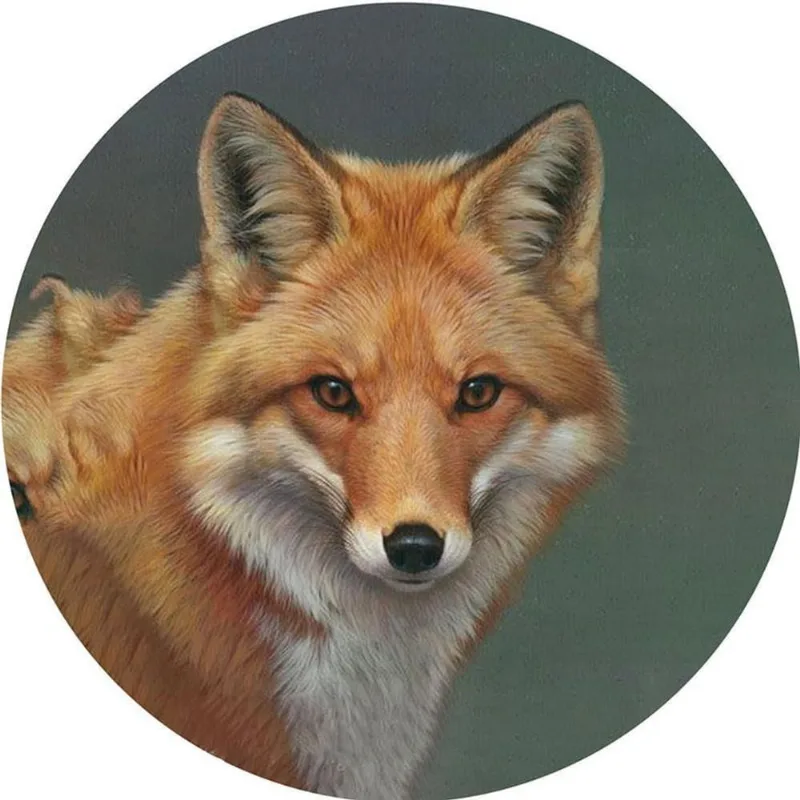 Capa Para Estepe Pneu Especial Crossfox Fox Raposa 1