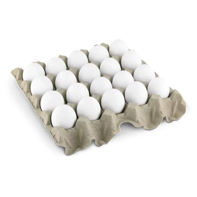 Ovos Brancos Grandes Veneza Bandeja c/ 20 Unid