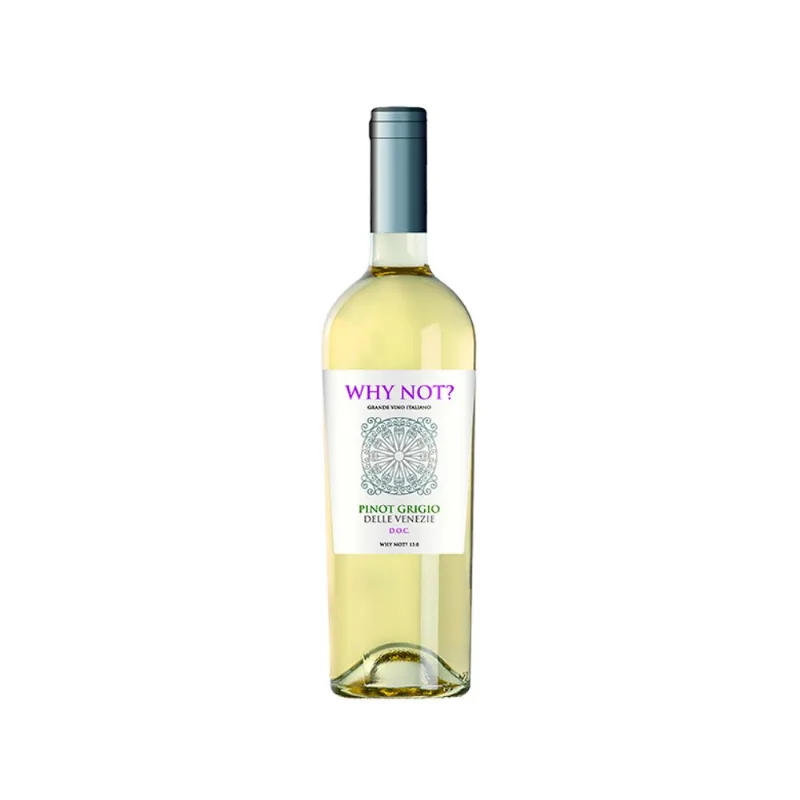 Vinho Why Not Pinot Grigio 750ml