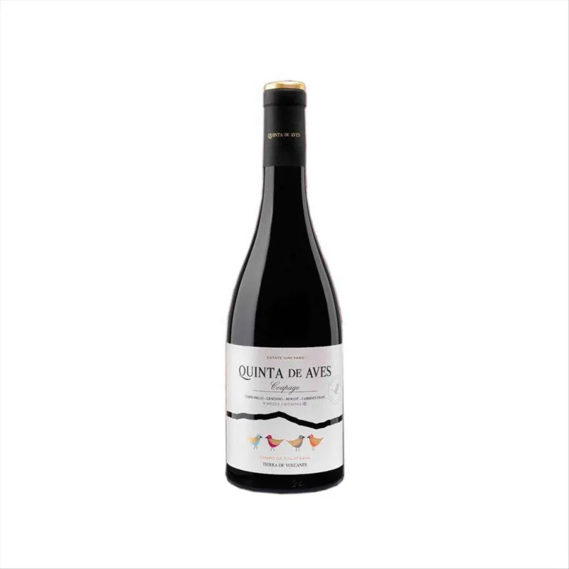 Vinho Tinto Espanhol Quinta de Aves Coupage Garrafa 750ml - Quinta de Aves - Vinhos E Cervejas