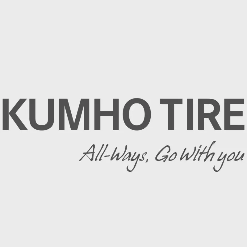 Pneu Kumho Aro 19 275/45r19 108Y tl Crugen HP91