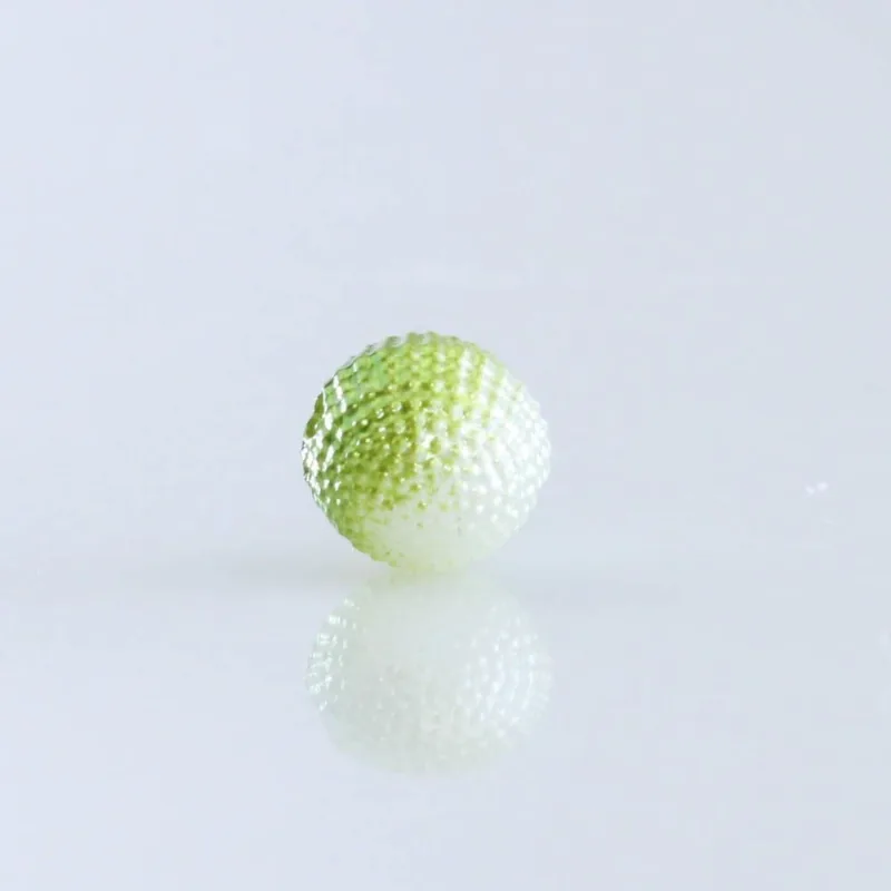 Perola Cascuda Mesclada Passante 10Mm Em Abs Com 50G 282D - Verde C/ Perola