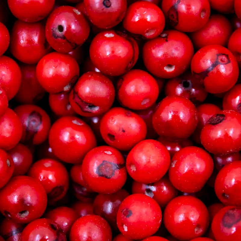 Semente De Açai Passante Com 75G 201 - Vermelho
