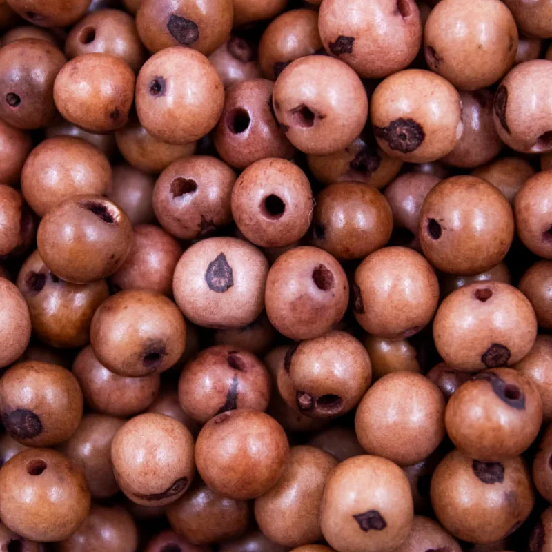 Semente De Açai Passante Com 75G 249 - Marrom Claro