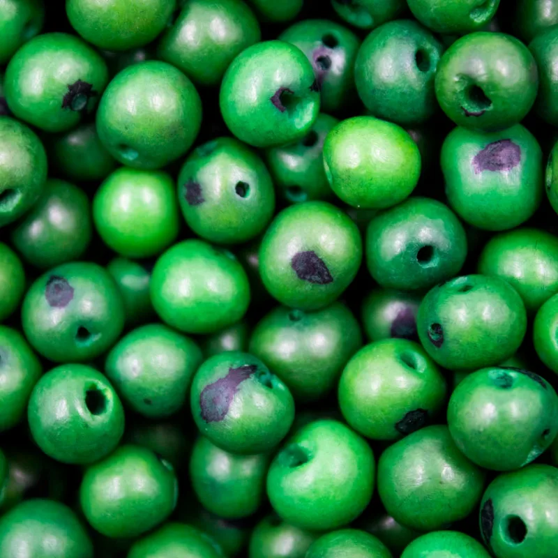 Semente De Açai Passante Com 75G A314 - Verde Bandeira