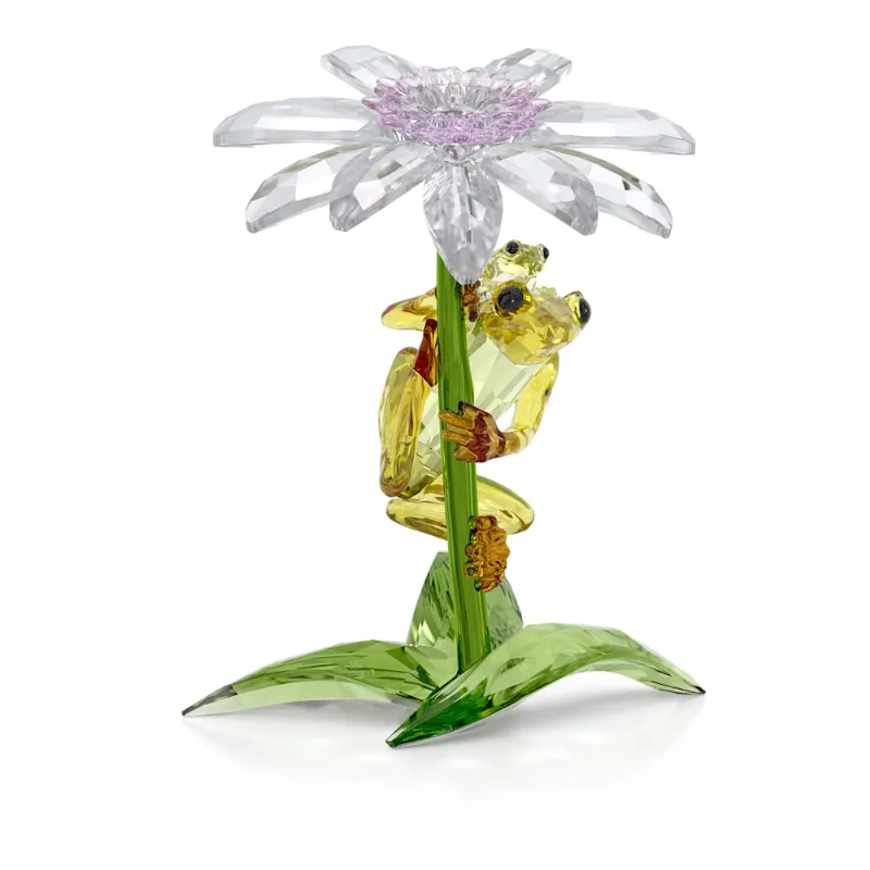 Idyllia Sapos e Flor