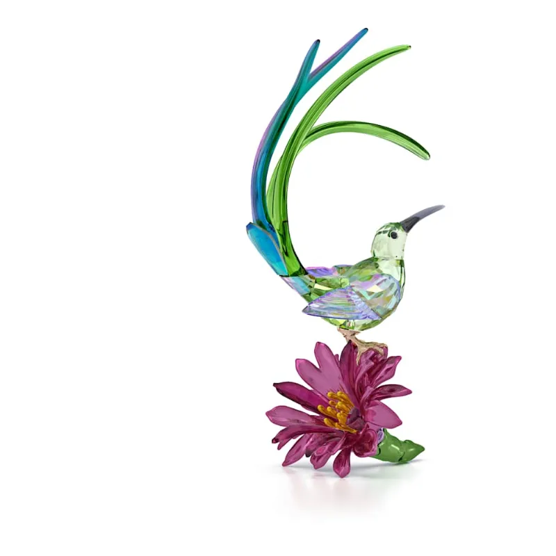 Idyllia Papa-açúcar e Flor de Cato