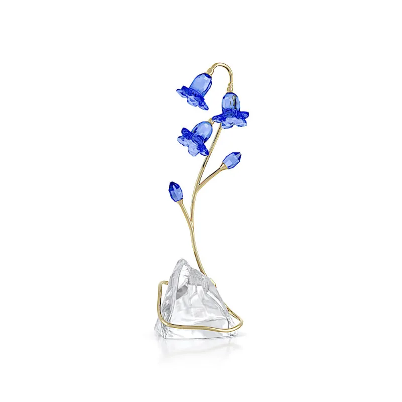 Florere Campanula rotundifolia