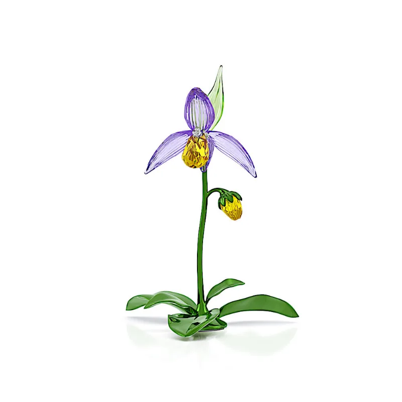 Florere Orquídea Sapatinho