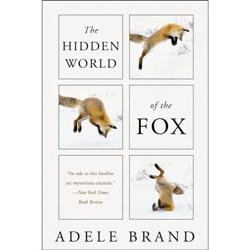 THE HIDDEN WORLD OF THE FOX