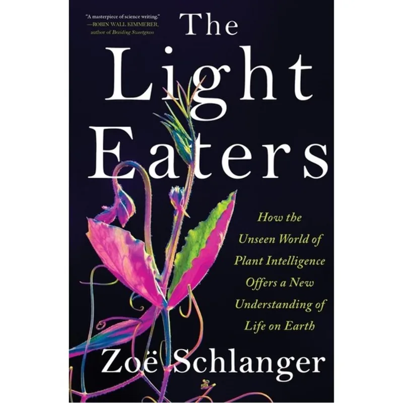 THE LIGHT EATERS