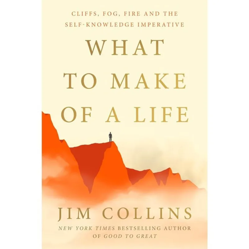 WHAT TO MAKE OF A LIFE