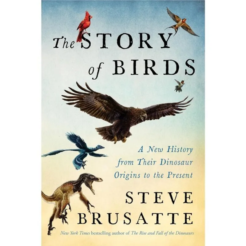THE STORY OF BIRDS - EXPORT EDITION