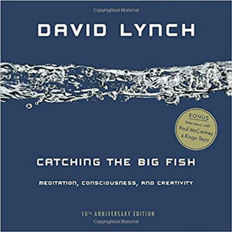 CATCHING THE BIG FISH - MEDITATION, CONSCIOUSNESS, AND CREATIVITY