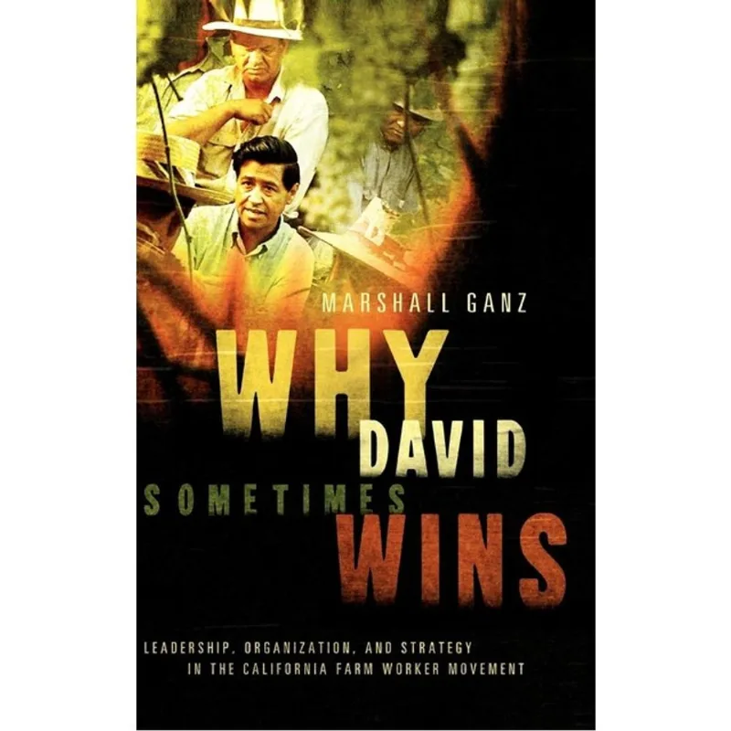 WHY DAVID SOMETIMES WINS