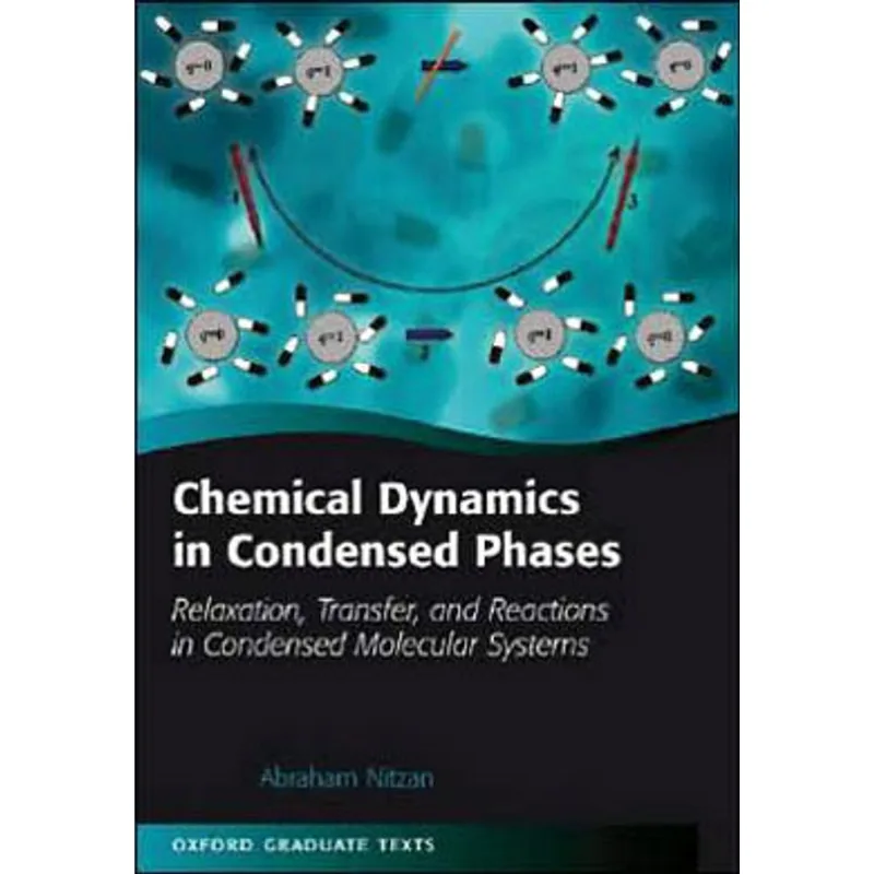 CHEMICAL DYNAMICS IN CONDENSED PHASES