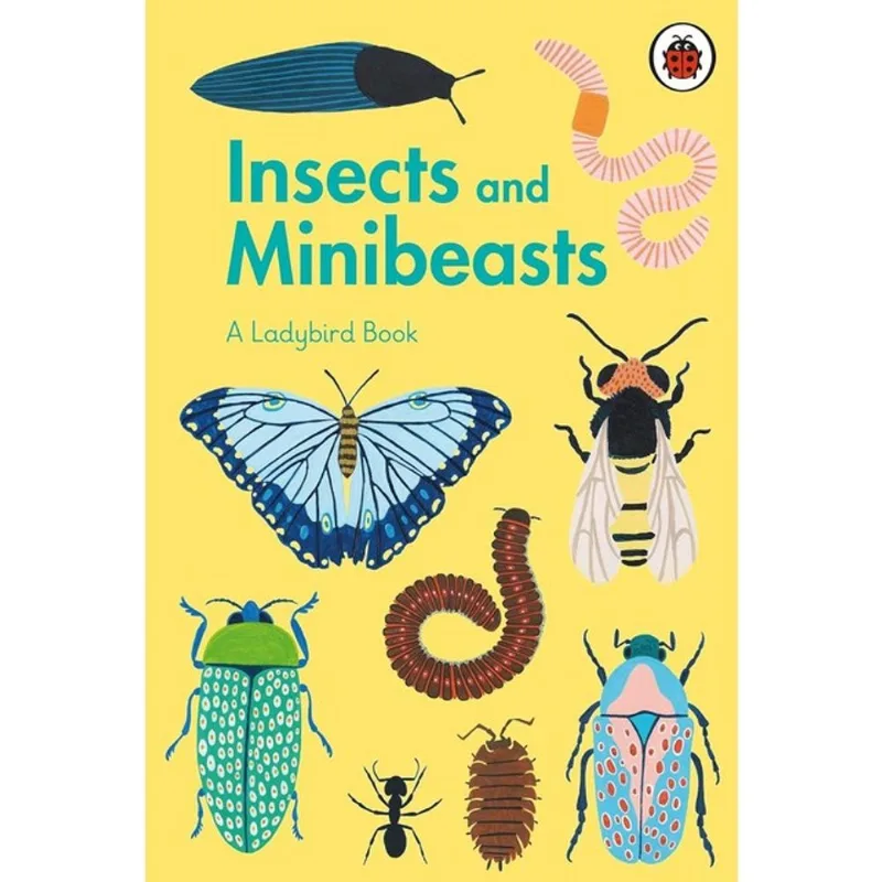 INSECTS AND MINIBEASTS