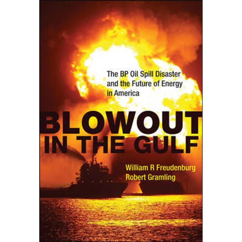 BLOWOUT IN THE GULF - THE BP OIL SPILL DISASTER AND THE FUTURE OF ENERGY IN AMERICA