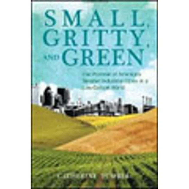 SMALL, GRITTY, AND GREEN - THE PROMISE OF AMERICA'S SMALLER INDUSTRIAL CITIES IN A LOW-CARBON WORLD