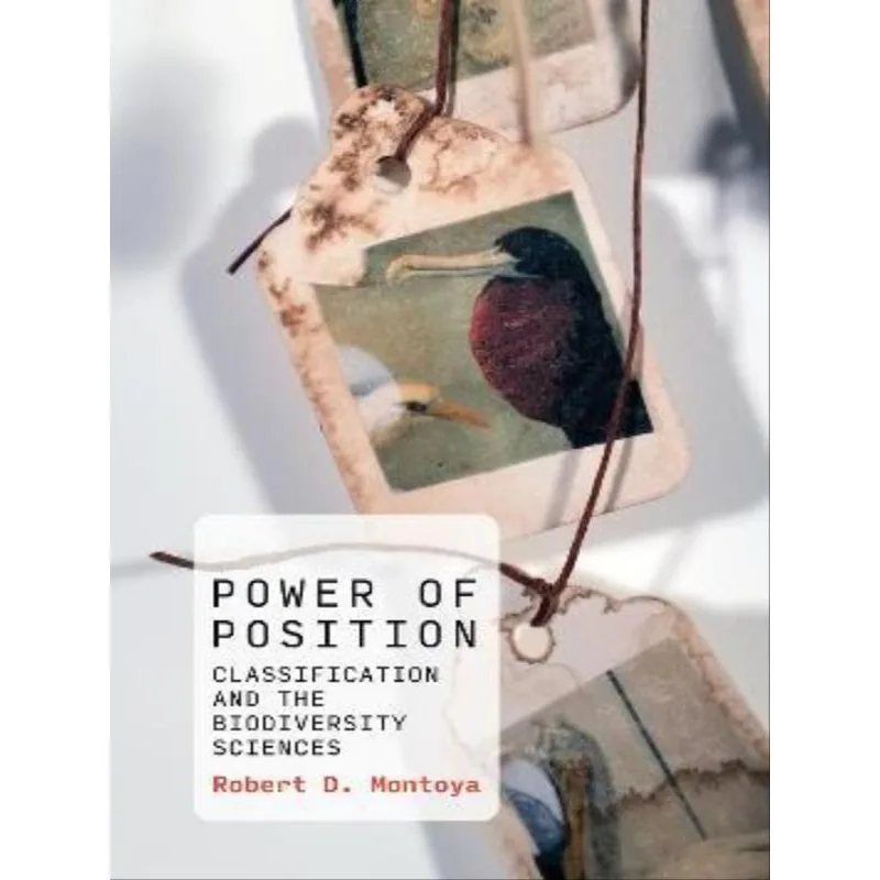POWER OF POSITION