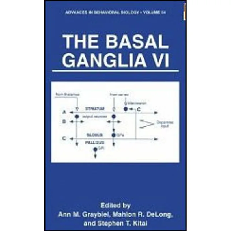 BASAL GANGLIA VI, THE