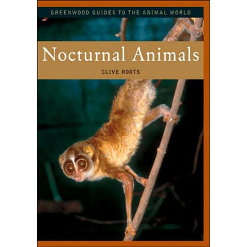 NOCTURNAL ANIMALS