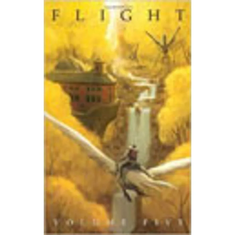 FLIGHT VOLUME FIVE - FLIGHT GRAPHIC NOVELS